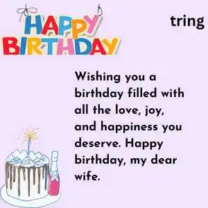 Happy Birthday Wishes For Wife(9).png Happy Birthday Wishes For Wife(9)