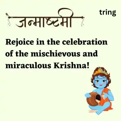 Janmashtami Captions For Instagram.png Janmashtami Captions For Instagram