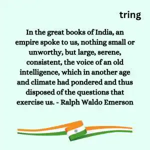 Independence Day Captions (9)