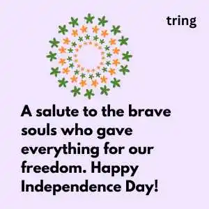 Independence Day Captions (4)