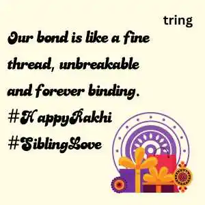 Raksha Bandhan Captions (9).png Raksha Bandhan Captions (9)