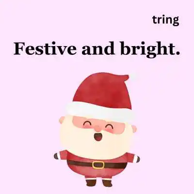 Short Christmas Caption