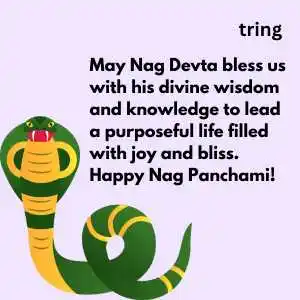 Nag Panchami (6)
