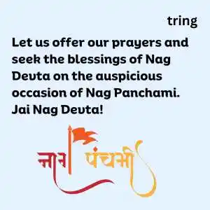 Nag Panchami (2)