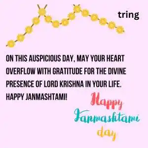Janmashtami (9).png Janmashtami (9)