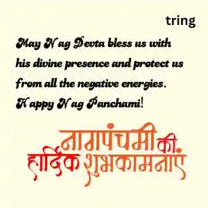 Nag Panchami (10)