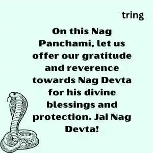 Nag Panchami (5)