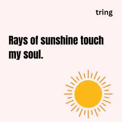 Sunshine Captions For Instagram
