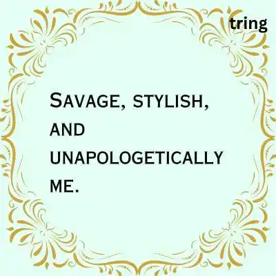 Savage Classy Captions For Instagram