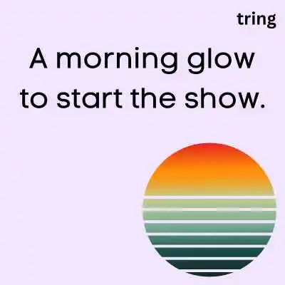 Morning Sunshine Captions For Instagram