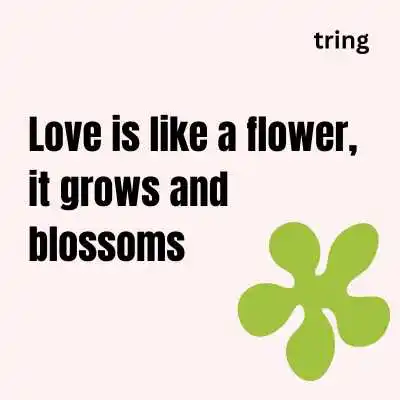 Short Flower Captions.png Short Flower Captions