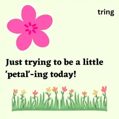 Funny Flower Captions.png Funny Flower Captions