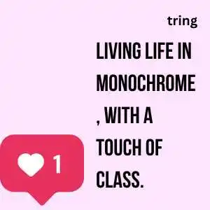 Classy Captions For Instagram (2)