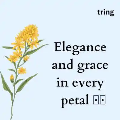 Aesthetic Flower Captions.png Aesthetic Flower Captions