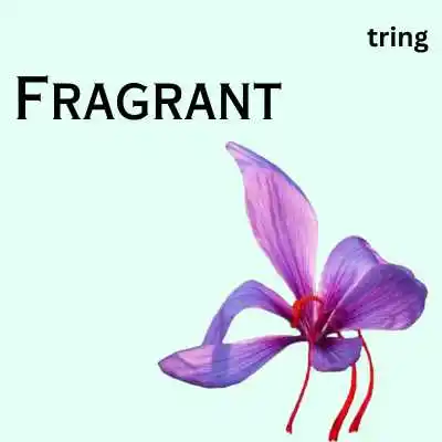 One Word Flower Captions.png One Word Flower Captions