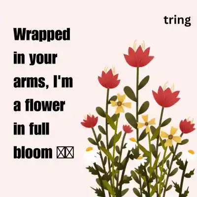 Romantic Flower Captions.png Romantic Flower Captions