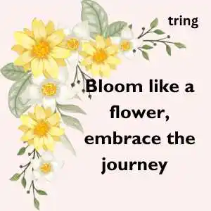 Flower Captions For Instagram (3).png Flower Captions For Instagram (3)