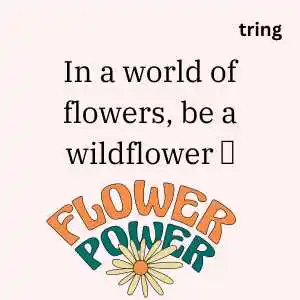 Flower Captions For Instagram (7).png Flower Captions For Instagram (7)