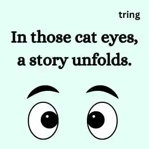 Eye Captions for Instagram (7)