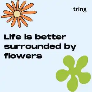 Flower Captions For Instagram (8).png Flower Captions For Instagram (8)