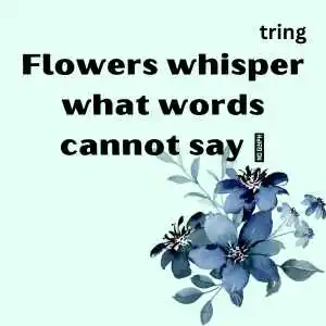 Flower Captions For Instagram (9).png Flower Captions For Instagram (9)