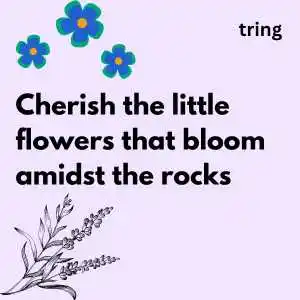 Flower Captions For Instagram (10).png Flower Captions For Instagram (10)