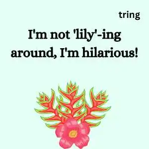 Flower Captions For Instagram (5).png Flower Captions For Instagram (5)