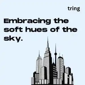 Sky Captions for Instagram (9).png Sky Captions for Instagram (9)