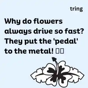 Flower Captions For Instagram (6).png Flower Captions For Instagram (6)