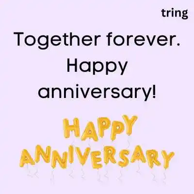 Short Anniversary Captions.png Short Anniversary Captions