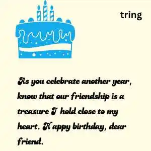 Birthday Captions for Best Friend (5)