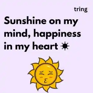 Sun Kissed Captions For Instagram (10).png Sun Kissed Captions For Instagram (10)