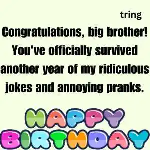 Birthday Wishes For Big Brother birthday wishes for elder brother