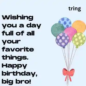 Birthday Wishes For Big Brother birthday wishes for elder brother