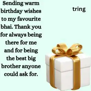 Birthday Wishes For Elder Brother birthday wishes for elder brother