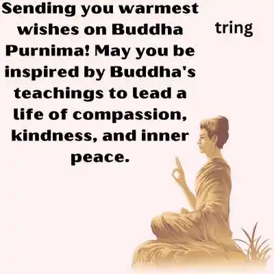 Warm Buddha Purnima Wishes.png Warm Buddha Purnima Wishes