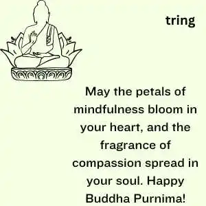 buddha purnima wishes (3).png buddha purnima wishes (3)