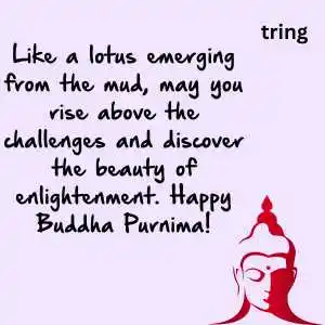 buddha purnima wishes (4).png buddha purnima wishes (4)