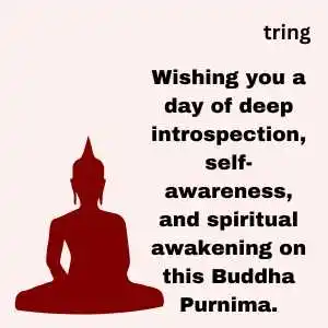 buddha purnima wishes (1).png buddha purnima wishes (1)