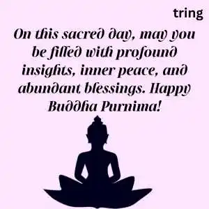 buddha purnima wishes (2).png buddha purnima wishes (2)