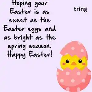 Happy Easter Sunday Wishes (5).png Happy Easter Sunday Wishes (5)