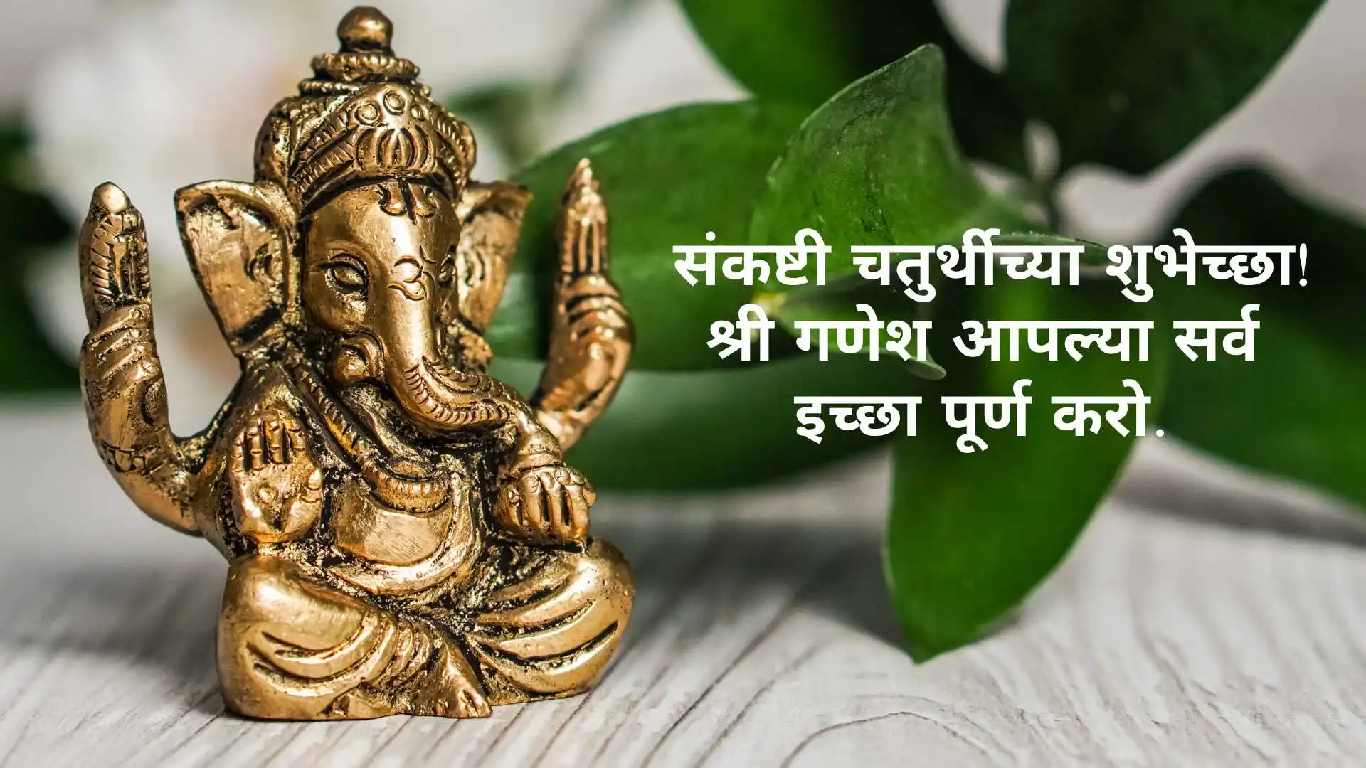 sankashti chaturthi quotes