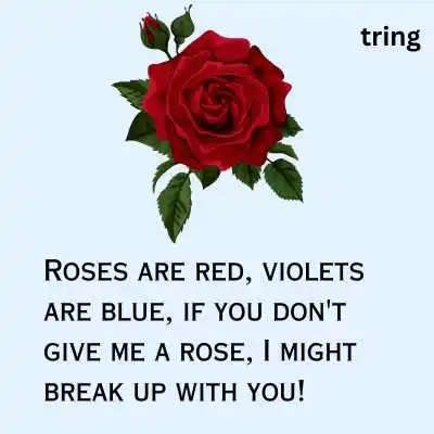 Funny Rose Day Wishes.png Funny Rose Day Wishes