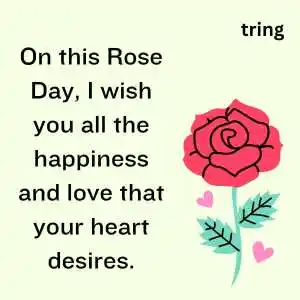 rose day wishes (4).png rose day wishes (4)