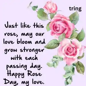 rose day wishes (5).png rose day wishes (5)