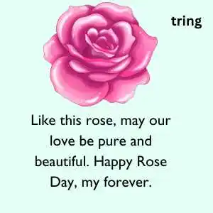 rose day wishes (6).png rose day wishes (6)