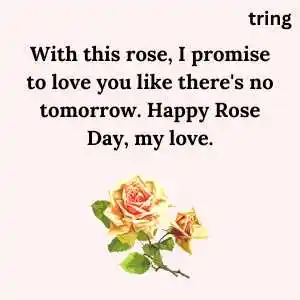 rose day wishes (8).png rose day wishes (8)