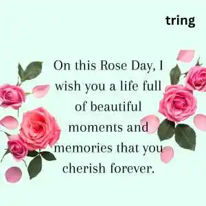 rose day wishes (9).png rose day wishes (9)