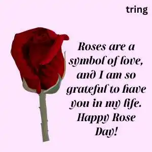 rose day wishes (3).png rose day wishes (3)