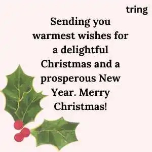 christmas wishes (4).png christmas wishes (4)